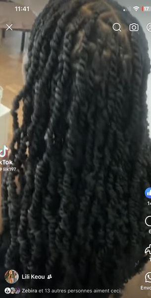 salon de coiffure afro tresse tresses box braids crochet braids vanilles tissages paris 75 77 78 91 92 93 94 95 UOEMMFUG