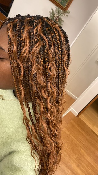 salon de coiffure afro tresse tresses box braids crochet braids vanilles tissages paris 75 77 78 91 92 93 94 95 LNQSDCWF