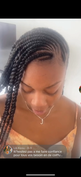 salon de coiffure afro tresse tresses box braids crochet braids vanilles tissages paris 75 77 78 91 92 93 94 95 VQIVDRDK
