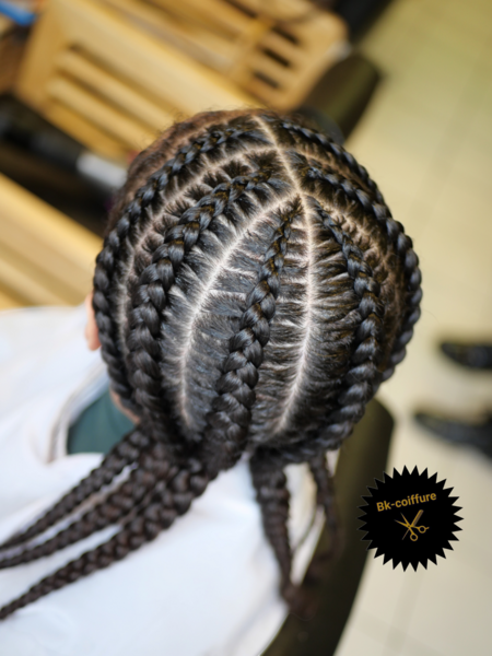 salon de coiffure afro tresse tresses box braids crochet braids vanilles tissages paris 75 77 78 91 92 93 94 95 JIDCNINW