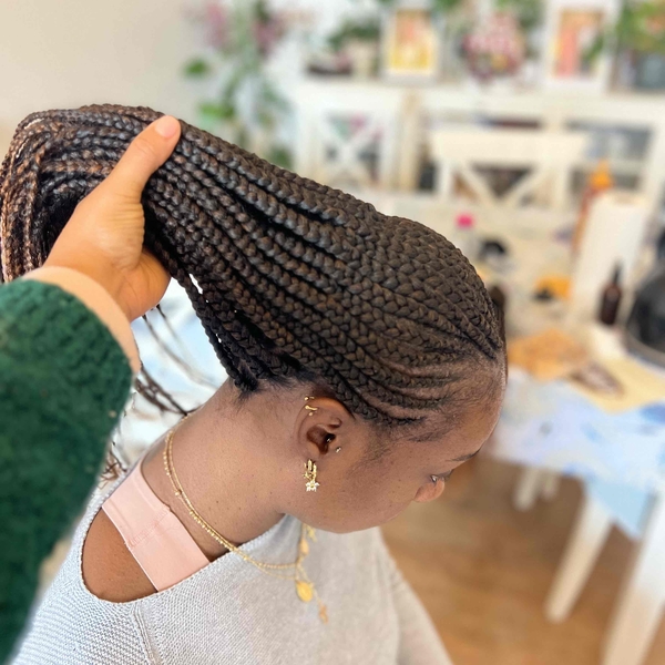 salon de coiffure afro tresse tresses box braids crochet braids vanilles tissages paris 75 77 78 91 92 93 94 95 FZGASJJT