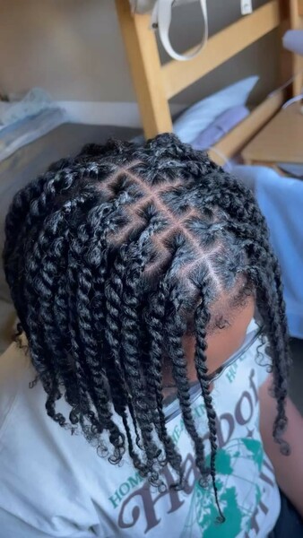 salon de coiffure afro tresse tresses box braids crochet braids vanilles tissages paris 75 77 78 91 92 93 94 95 DUYTDHKU
