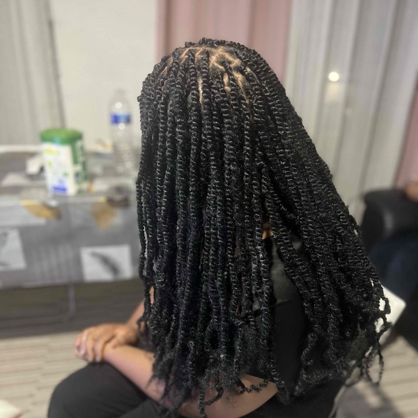 salon de coiffure afro tresse tresses box braids crochet braids vanilles tissages paris 75 77 78 91 92 93 94 95 KONLDIMO