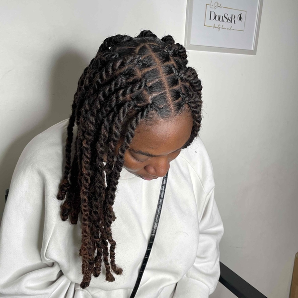 salon de coiffure afro tresse tresses box braids crochet braids vanilles tissages paris 75 77 78 91 92 93 94 95 NMCPUNSJ