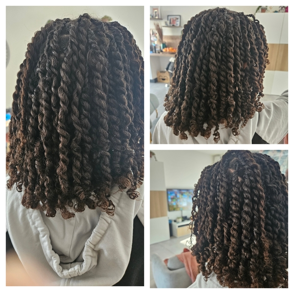 salon de coiffure afro tresse tresses box braids crochet braids vanilles tissages paris 75 77 78 91 92 93 94 95 YQKWEOTB