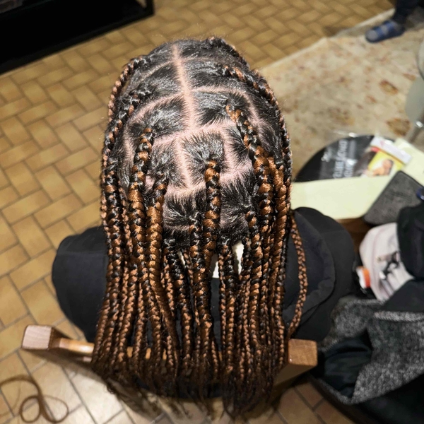 salon de coiffure afro tresse tresses box braids crochet braids vanilles tissages paris 75 77 78 91 92 93 94 95 LJYTRLPY