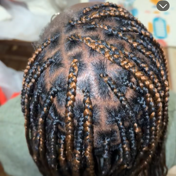 salon de coiffure afro tresse tresses box braids crochet braids vanilles tissages paris 75 77 78 91 92 93 94 95 WINCHCND