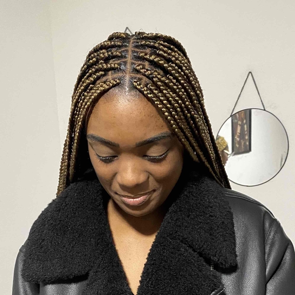 salon de coiffure afro tresse tresses box braids crochet braids vanilles tissages paris 75 77 78 91 92 93 94 95 YFRDGSHI