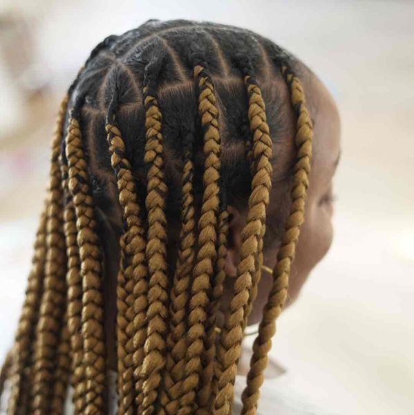 salon de coiffure afro tresse tresses box braids crochet braids vanilles tissages paris 75 77 78 91 92 93 94 95 PFXVMEZS