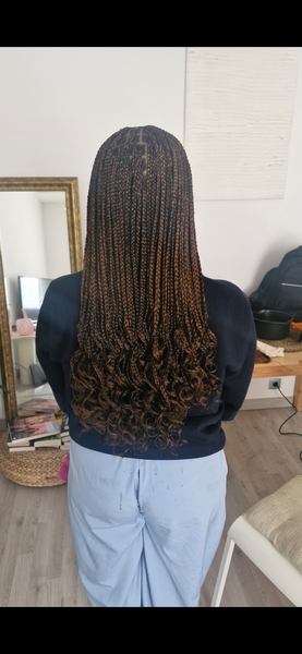 salon de coiffure afro tresse tresses box braids crochet braids vanilles tissages paris 75 77 78 91 92 93 94 95 OTQRRWRB