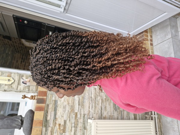 salon de coiffure afro tresse tresses box braids crochet braids vanilles tissages paris 75 77 78 91 92 93 94 95 IEESQBVJ