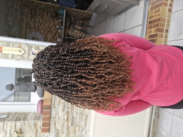 salon de coiffure afro tresse tresses box braids crochet braids vanilles tissages paris 75 77 78 91 92 93 94 95 ZTSLUNTR