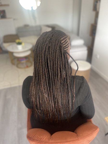 salon de coiffure afro tresse tresses box braids crochet braids vanilles tissages paris 75 77 78 91 92 93 94 95 EBQRTRXF