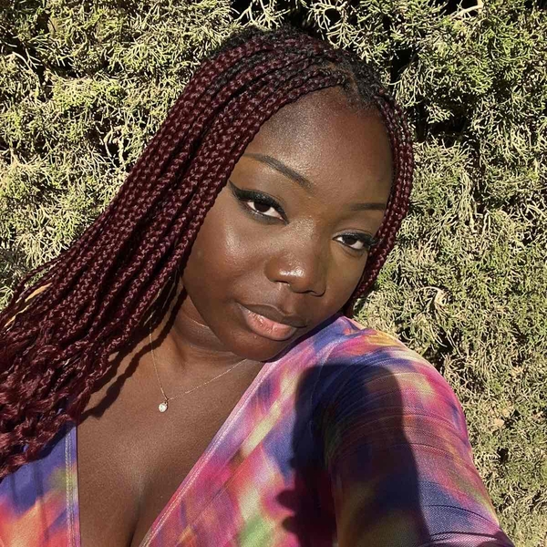 salon de coiffure afro tresse tresses box braids crochet braids vanilles tissages paris 75 77 78 91 92 93 94 95 XSNOKXPI