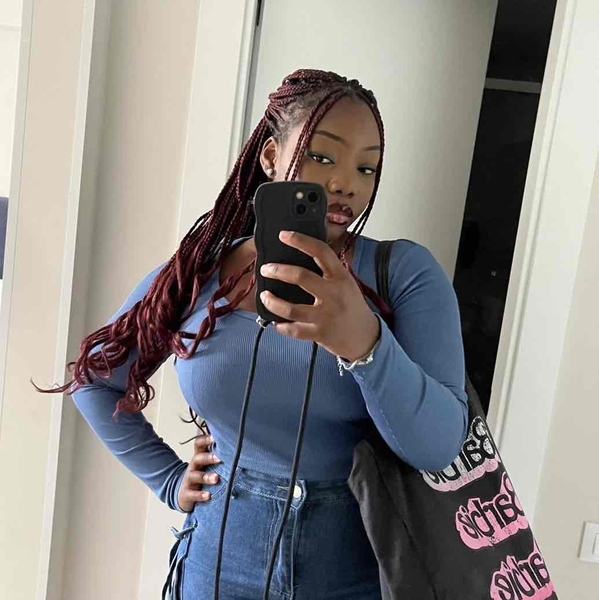 salon de coiffure afro tresse tresses box braids crochet braids vanilles tissages paris 75 77 78 91 92 93 94 95 AKOAADSY