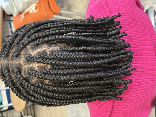 salon de coiffure afro tresse tresses box braids crochet braids vanilles tissages paris 75 77 78 91 92 93 94 95 FPPJBPDZ