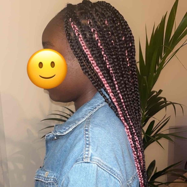 salon de coiffure afro tresse tresses box braids crochet braids vanilles tissages paris 75 77 78 91 92 93 94 95 HRIZVSVO