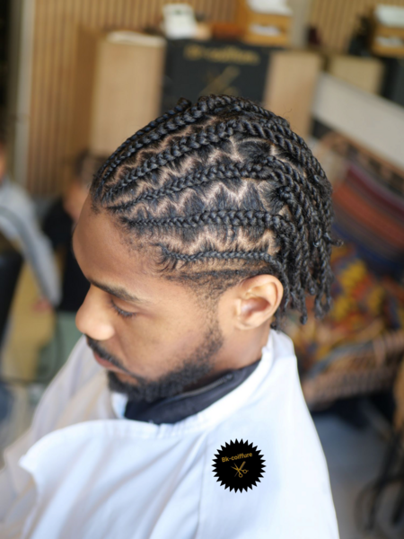 salon de coiffure afro tresse tresses box braids crochet braids vanilles tissages paris 75 77 78 91 92 93 94 95 GKTXSFPS