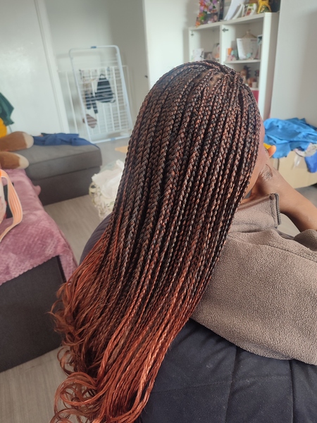 salon de coiffure afro tresse tresses box braids crochet braids vanilles tissages paris 75 77 78 91 92 93 94 95 AYOVJAZS