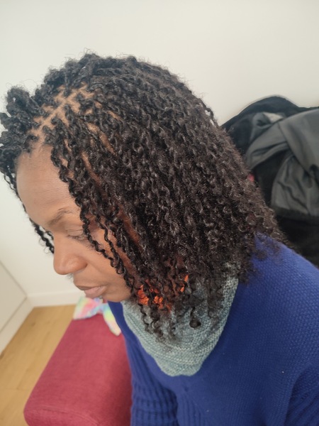 salon de coiffure afro tresse tresses box braids crochet braids vanilles tissages paris 75 77 78 91 92 93 94 95 XMSBANWP