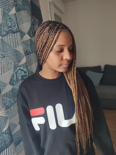salon de coiffure afro tresse tresses box braids crochet braids vanilles tissages paris 75 77 78 91 92 93 94 95 FZUSFHTY