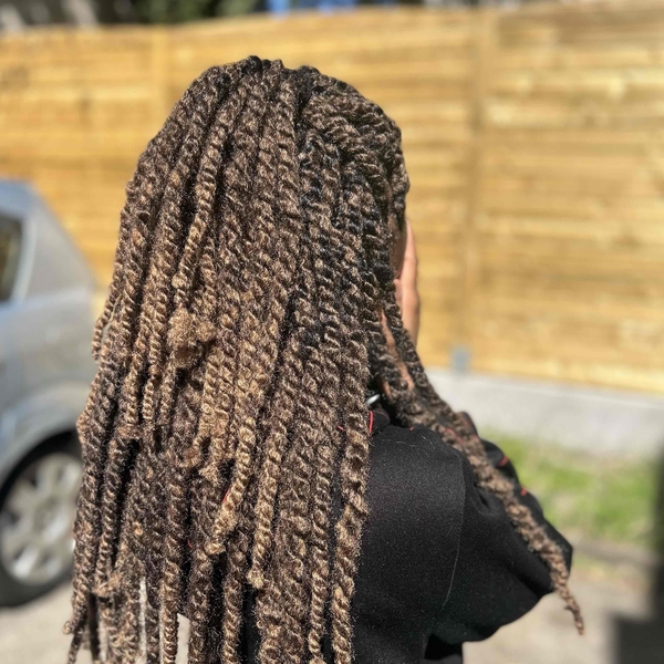 salon de coiffure afro tresse tresses box braids crochet braids vanilles tissages paris 75 77 78 91 92 93 94 95 AKIEPUIA
