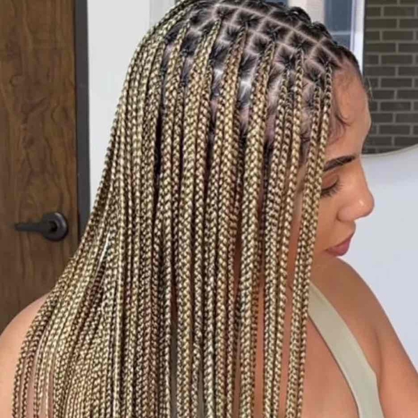 salon de coiffure afro tresse tresses box braids crochet braids vanilles tissages paris 75 77 78 91 92 93 94 95 AFLJUBEA