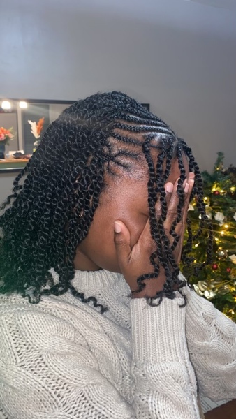 salon de coiffure afro tresse tresses box braids crochet braids vanilles tissages paris 75 77 78 91 92 93 94 95 JXFYSUYJ