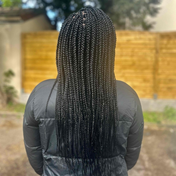 salon de coiffure afro tresse tresses box braids crochet braids vanilles tissages paris 75 77 78 91 92 93 94 95 BEBJWSZS