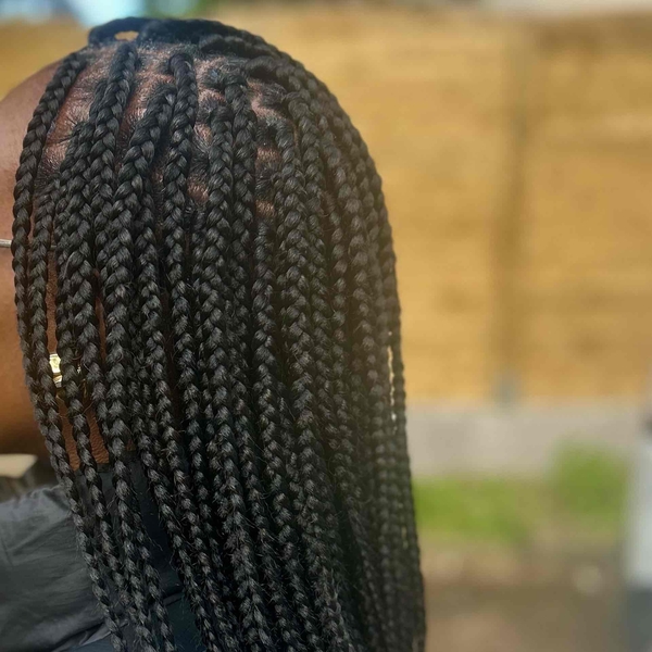 salon de coiffure afro tresse tresses box braids crochet braids vanilles tissages paris 75 77 78 91 92 93 94 95 PCRZRVGW
