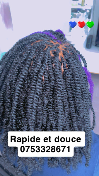 salon de coiffure afro tresse tresses box braids crochet braids vanilles tissages paris 75 77 78 91 92 93 94 95 NVCTZNCW