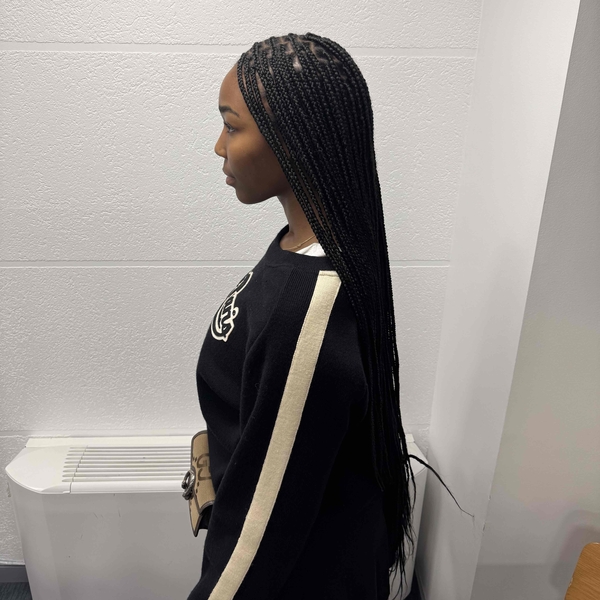 salon de coiffure afro tresse tresses box braids crochet braids vanilles tissages paris 75 77 78 91 92 93 94 95 SMAZFBXD