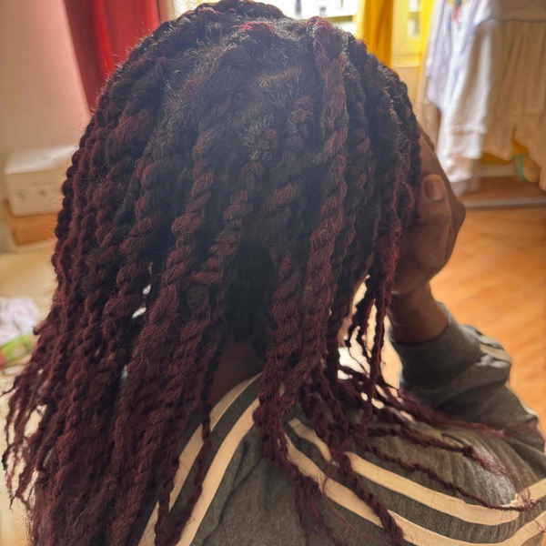 salon de coiffure afro tresse tresses box braids crochet braids vanilles tissages paris 75 77 78 91 92 93 94 95 TXOOFOHJ