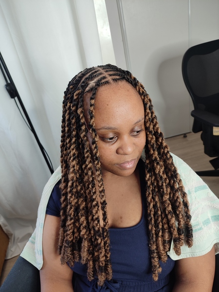 salon de coiffure afro tresse tresses box braids crochet braids vanilles tissages paris 75 77 78 91 92 93 94 95 KTDUKVBR