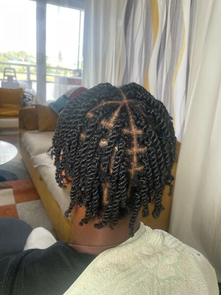 salon de coiffure afro tresse tresses box braids crochet braids vanilles tissages paris 75 77 78 91 92 93 94 95 HWAXATWS