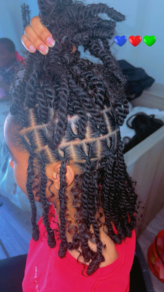 salon de coiffure afro tresse tresses box braids crochet braids vanilles tissages paris 75 77 78 91 92 93 94 95 HHQGBJIF
