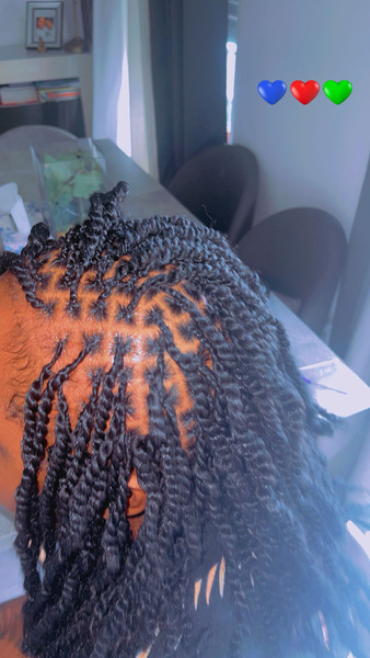 salon de coiffure afro tresse tresses box braids crochet braids vanilles tissages paris 75 77 78 91 92 93 94 95 RPVSJSNF