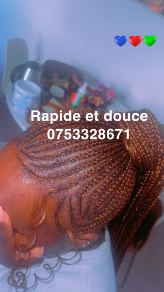 salon de coiffure afro tresse tresses box braids crochet braids vanilles tissages paris 75 77 78 91 92 93 94 95 FCEOKFCA