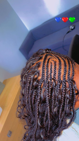 salon de coiffure afro tresse tresses box braids crochet braids vanilles tissages paris 75 77 78 91 92 93 94 95 BPMXDLKV