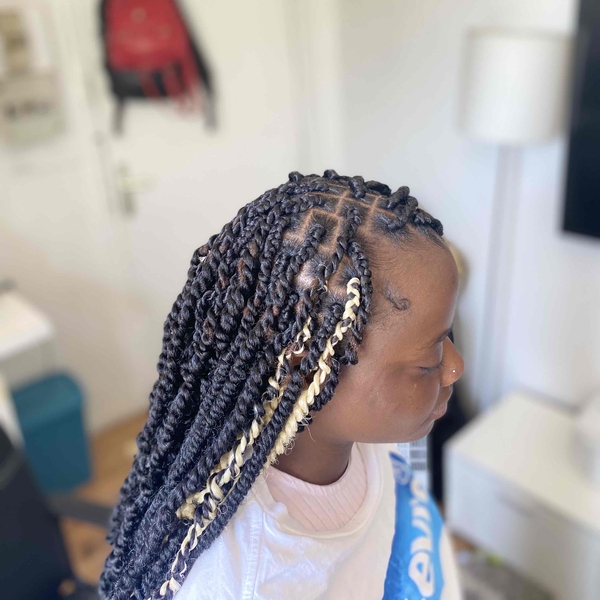 salon de coiffure afro tresse tresses box braids crochet braids vanilles tissages paris 75 77 78 91 92 93 94 95 ARHEUUUW