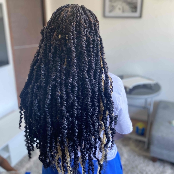 salon de coiffure afro tresse tresses box braids crochet braids vanilles tissages paris 75 77 78 91 92 93 94 95 BUAJIPWC