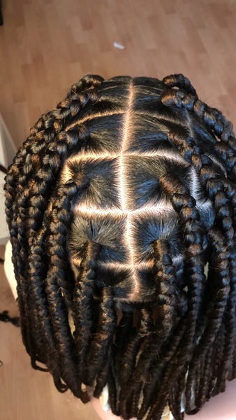 salon de coiffure afro tresse tresses box braids crochet braids vanilles tissages paris 75 77 78 91 92 93 94 95 HBSZHHIO