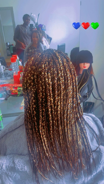 salon de coiffure afro tresse tresses box braids crochet braids vanilles tissages paris 75 77 78 91 92 93 94 95 EKBFPCGZ