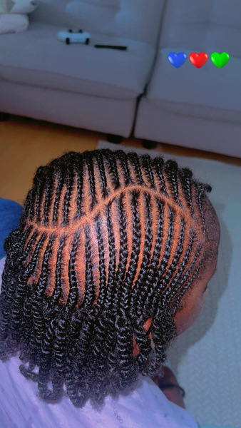 salon de coiffure afro tresse tresses box braids crochet braids vanilles tissages paris 75 77 78 91 92 93 94 95 ONRPXMVX