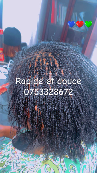 salon de coiffure afro tresse tresses box braids crochet braids vanilles tissages paris 75 77 78 91 92 93 94 95 NTHRGNUL