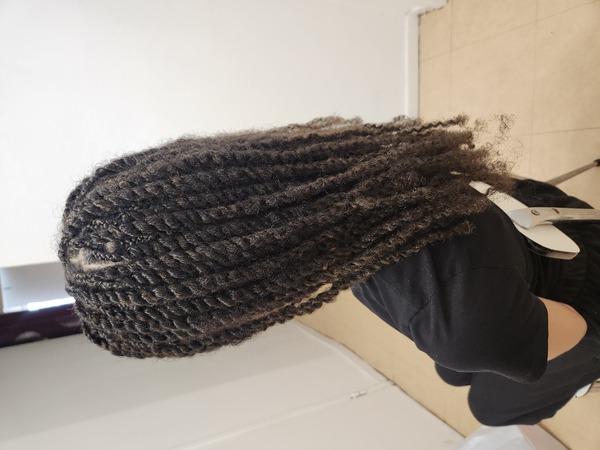 salon de coiffure afro tresse tresses box braids crochet braids vanilles tissages paris 75 77 78 91 92 93 94 95 EMJGCPLR