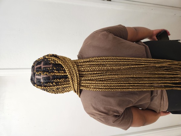 salon de coiffure afro tresse tresses box braids crochet braids vanilles tissages paris 75 77 78 91 92 93 94 95 TCJIKDII