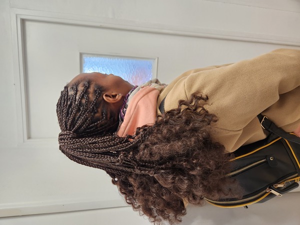salon de coiffure afro tresse tresses box braids crochet braids vanilles tissages paris 75 77 78 91 92 93 94 95 AGQRBZEJ