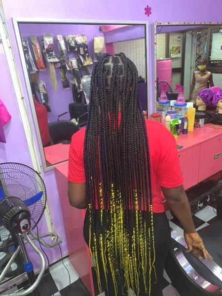 salon de coiffure afro tresse tresses box braids crochet braids vanilles tissages paris 75 77 78 91 92 93 94 95 AABIOHNF