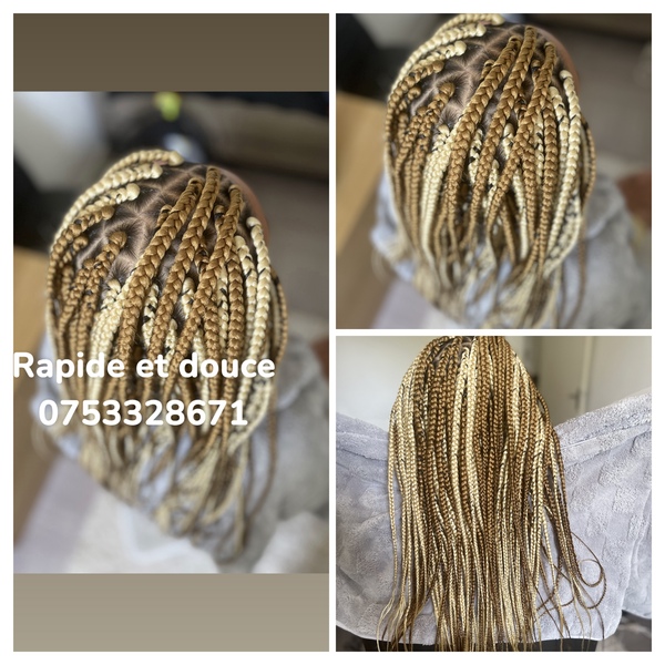 salon de coiffure afro tresse tresses box braids crochet braids vanilles tissages paris 75 77 78 91 92 93 94 95 BOIFWLBT
